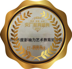 2017年度影响力艺术教